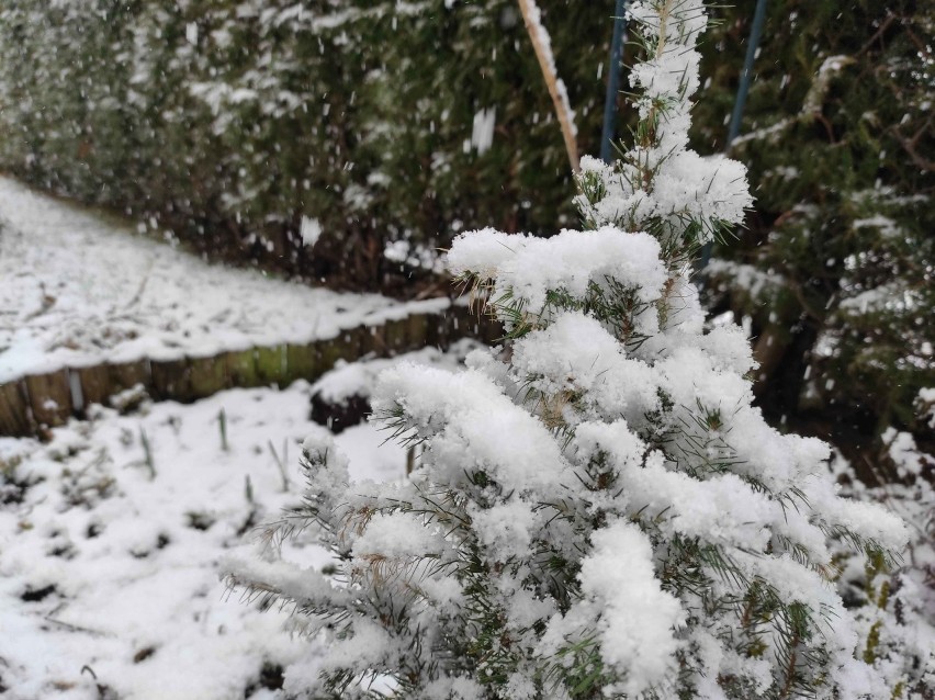 Zakopane. Czy to na pewno Wielkanoc? Na Podhalu i w Tatrach sypie śnieg. Jak w środku zimy...