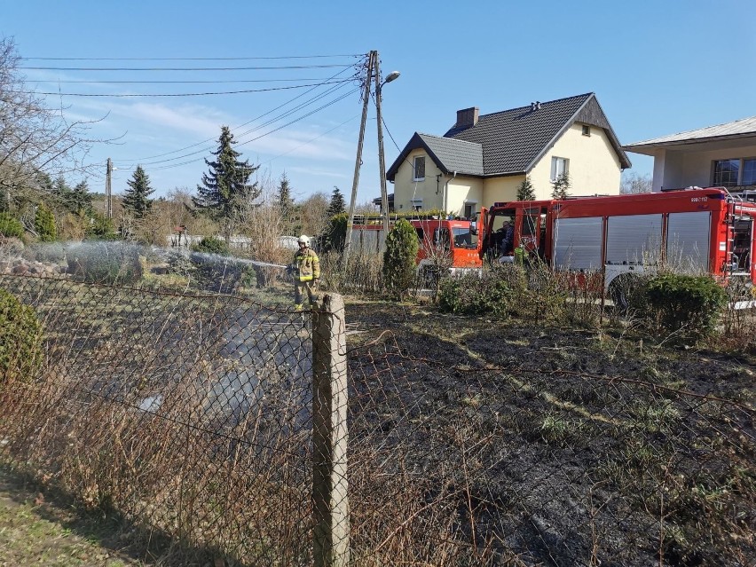 Pożar wybuchł w słoneczne i wietrzne południe. Mogło dojść...