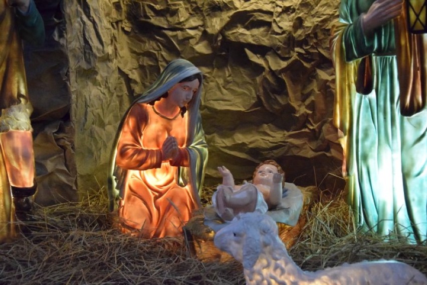Pruszcz Gdański: Szopka bożonarodzeniowa w kościele Matki Boskiej Nieustającej Pomocy [ZDJĘCIA]