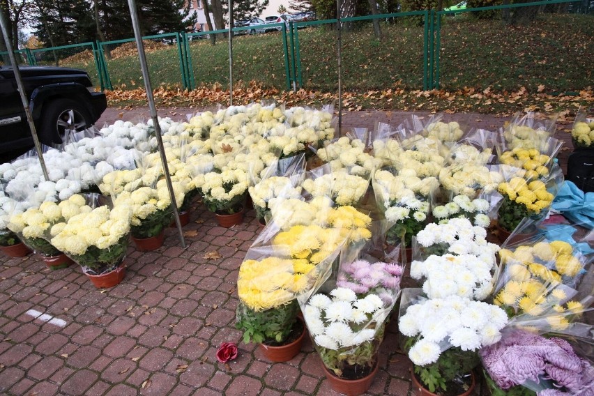 Szaleństwo za chryzantemami przed kieleckim cmentarzem! Ludzie wyrywali sobie kwiaty z rąk