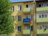 Szukasz mieszkania? Zobacz aktualne oferty tanich mieszkań we Włocławku. Zdjęcia, szczegóły 