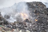 Niemcy przez lata podrzucali śmieci na Opolszczyznę. Potrzeba milionów, żeby je zutylizować