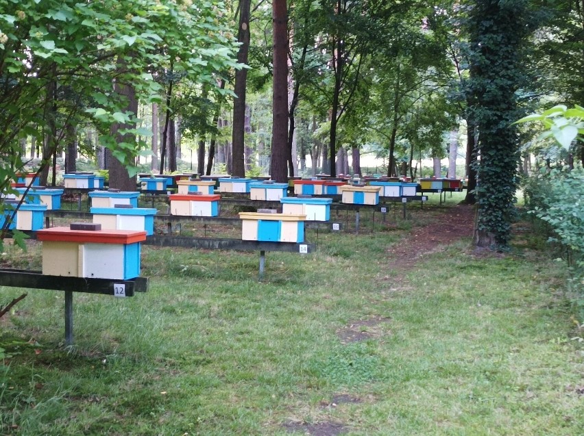 Śląski Związek Pszczelarstwa w Katowicach