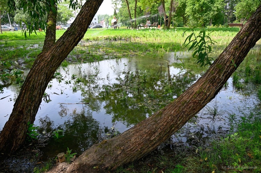 Białystok. Nowy park kieszonkowy. Z ogrodem deszczowym. Przy ulicy Andersa (zdjęcia)