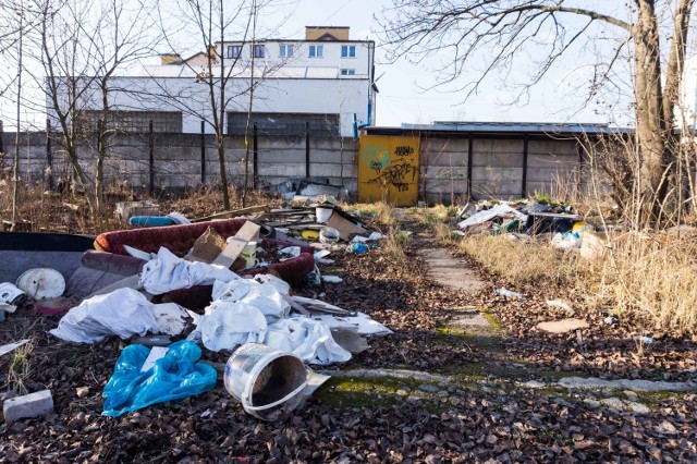 Zagłębie usługowe w rejonie Nowohuckiej i Centralnej