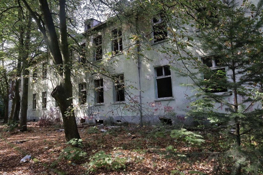 Posowiecki szpital w legnickim Lasku Złotoryjskim to już ruina, zobaczcie aktualne zdjęcia