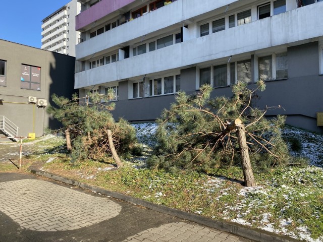 W ubiegłym tygodniu na os. Tysiąclecia w Katowicach, przy ulicy o tej samej nazwie, doszło do bezmyślnego aktu wandalizmu