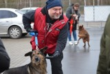 Ruszyła powiatowa zbiórka darów na rzecz Schroniska dla Bezdomnych Zwierząt w Głogowie