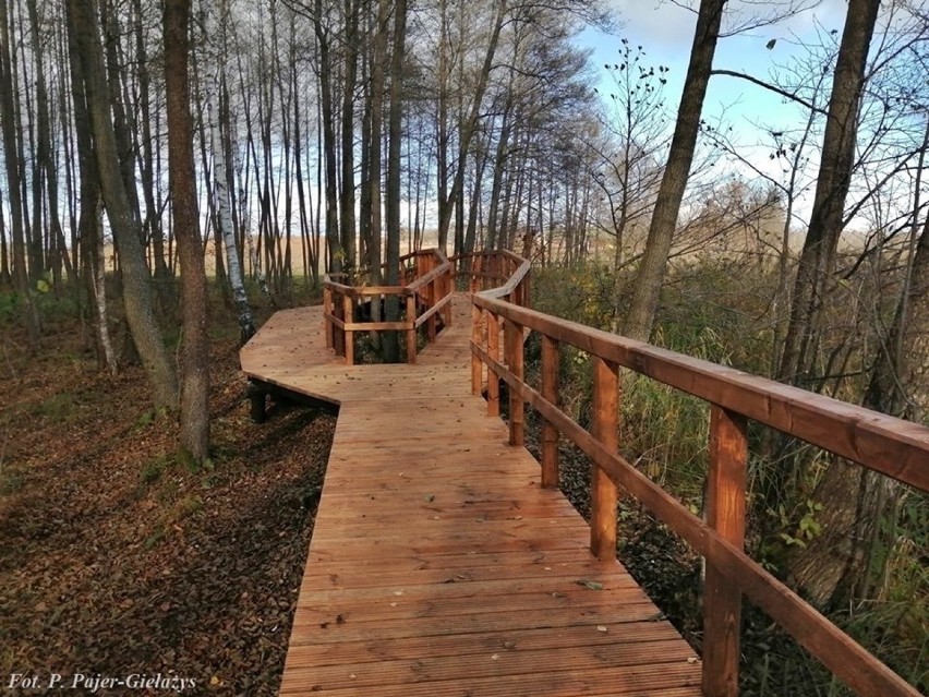 Wigierski Park Narodowy: Remont ścieżki edukacyjnej "Płazy" dobiega końca [ZDJĘCIA]