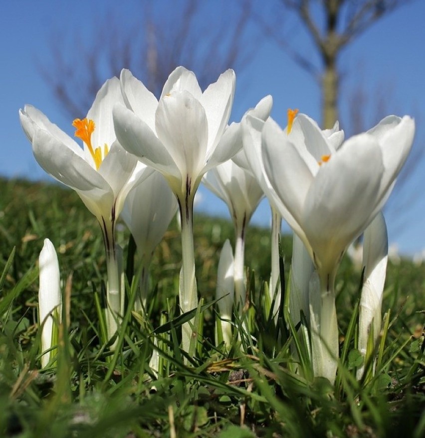 Temperatury w nocy z piątku 19.04.2019 na sobotę 20.04.2019...