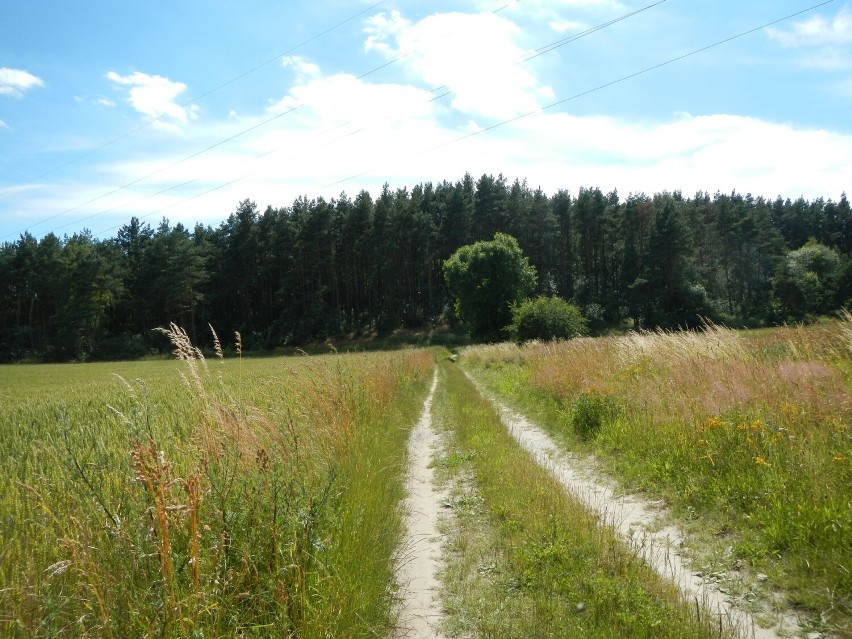 Czarna Góra to najwyższe wzniesienie województwa...