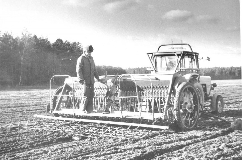 Siew jęczmienia w PGR Zakrzów.  3 marca 1976 roku.