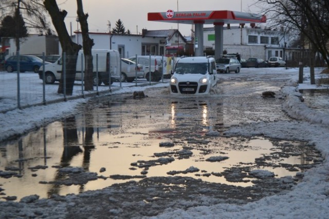 Nowy Dwór Gd. Cofka na Żuławach i Mierzei