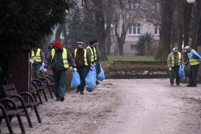 Bezrobotni z Legnicy sprzątają miasto