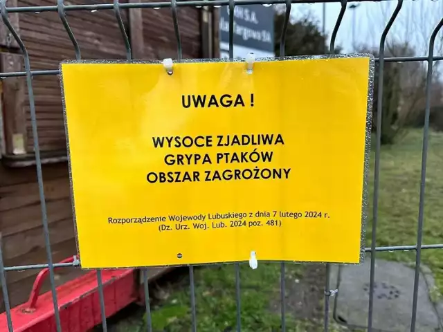 Na początku lutego w gminie Deszczno stwierdzono dwa ogniska grypy ptaków.