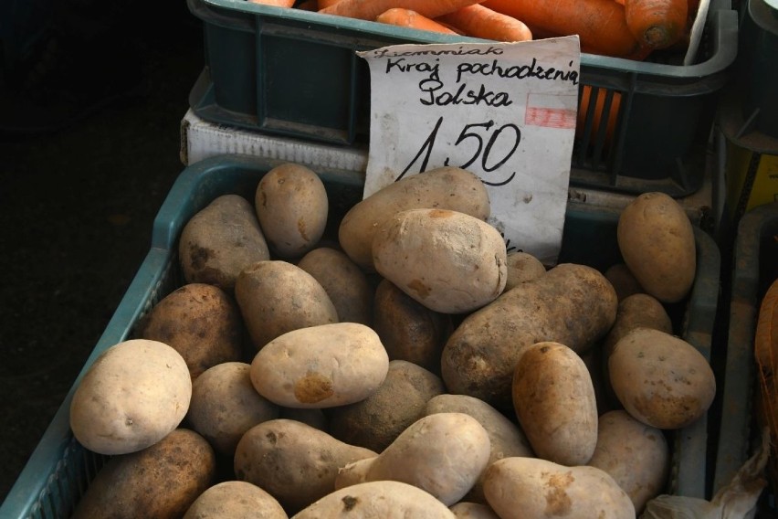 Za ziemniaki trzeba było we wtorek zapłacić 1,50 złotych za...