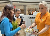 Zbiórka elektrośmieci w Focus Mall. "Nie wszyscy wiedzą czym są elektrośmieci" ZDJĘCIA, VIDEO