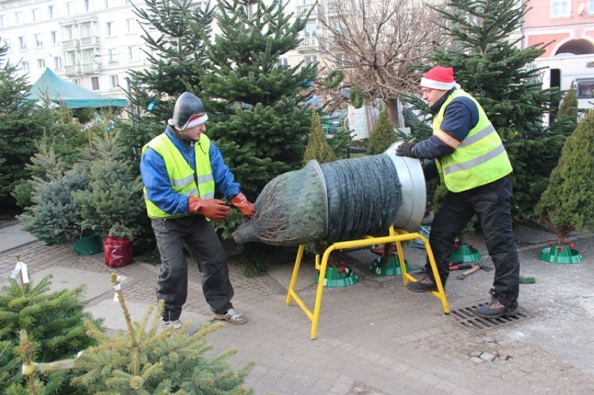 Świąteczną choinkę większość z nas kupi właśnie w ten...