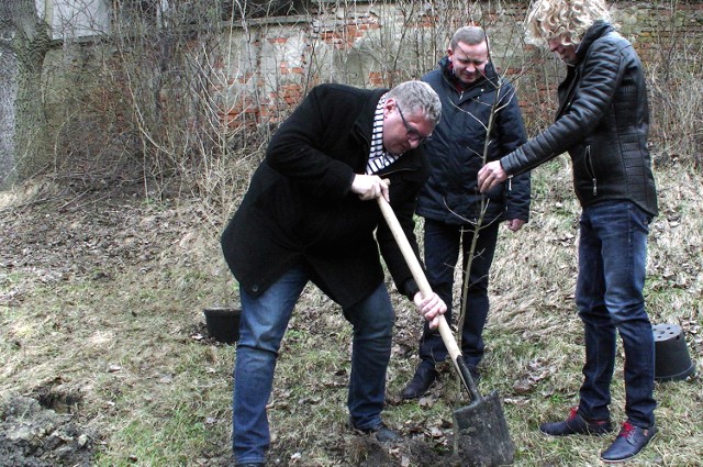 W Kaliszu posadzono kolejne drzewa w ramach akcji "Drzewo dla Polski"