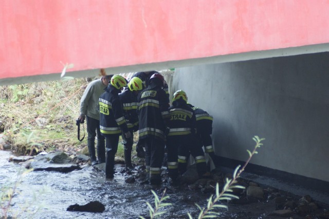 Ciało mężczyzny z potoku wydobyli strażacy