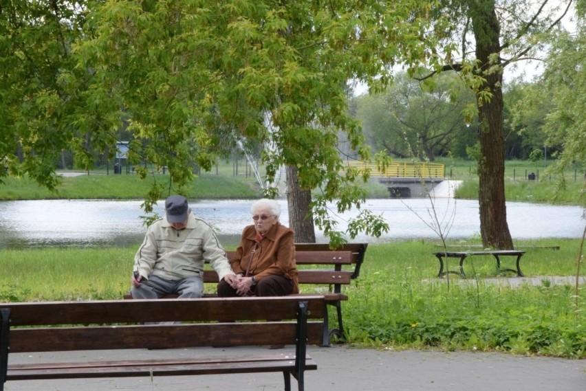 Na Browarach w Końskich jest pięknie. Zobaczcie jak żyje to miejsce [ZDJĘCIA] 