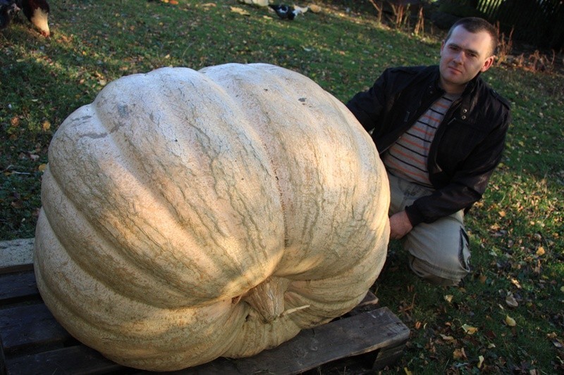 Kawałek Ameryki w Miechowie (ZDJĘCIA)