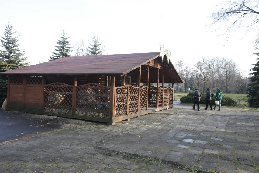 Szopka 2013 zoo w Chorzowie