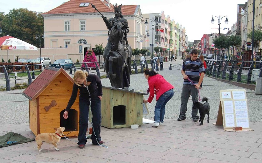 Ogólnopolska akcja &quot;Zerwijmy łańcuchy&quot; w Malborku