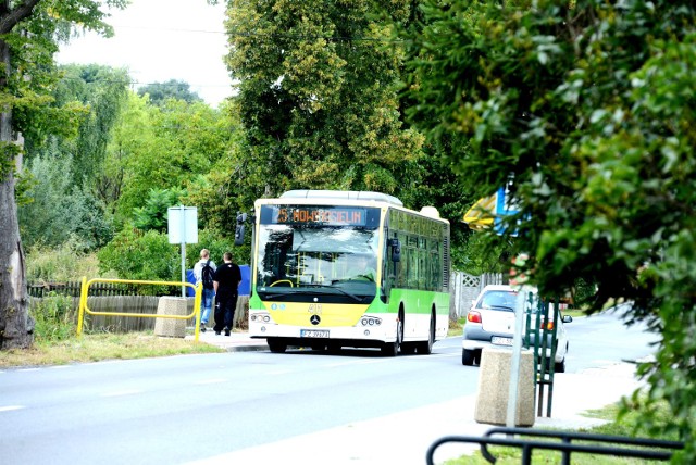 Wielkanoc 2016: Sprawdź, jak będą kursowały autobusy MZK w Zielonej Górze