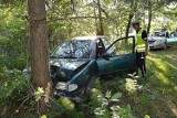 Uciekał przed policją i uderzył w drzewo. Miał ponad 3 promile