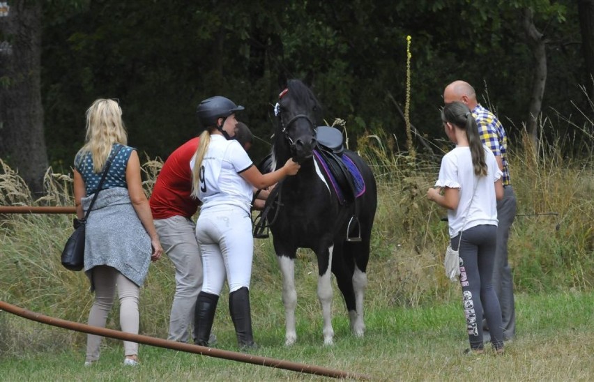 XIV Wielkopolski Czempionat Koni Huculskich w Racocie