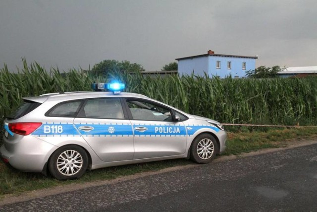 38-latek uciekł przed policją z Rypina w pole kukurydzy