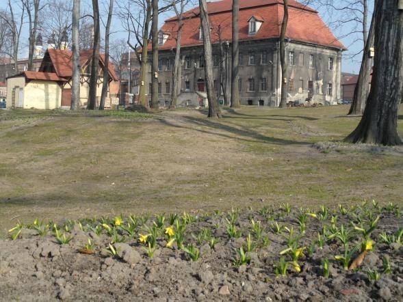 Park Książęcy w Tychach.