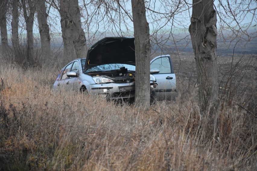 Auto uderzyło w drzewo na trasie Manieczki - Boreczek