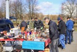 Giełda antyków przed centrum M1 w Poznaniu przyciąga tłumy. Tu kupisz wszystko! Mamy zdjęcia