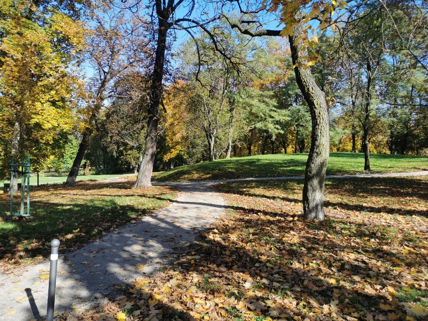 Jesień w parku w Kościelcu w Chrzanowie