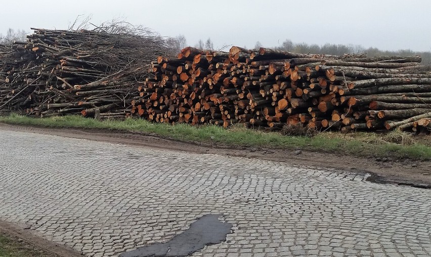 Okolica Sławna i Pomiłowa - przygotowanie terenu pod budowę S6