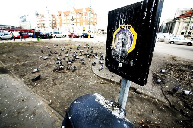 Zakaz dokarmiania gołębi, czy wprowadzić taki w Katowicach?