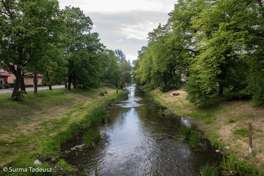 Woda, zieleń, kamienie, pale... Wędkarze, spacerowicze, kaczki... Spacer nad Iną ZDJĘCIA