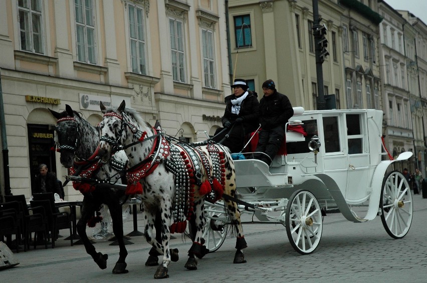 Czym żyje Kraków? Zobaczcie zdjęcia!