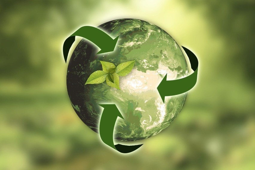 Segregacja śmieci i recykling – dlaczego tak ważne jest dawanie drugiego życia odpadom