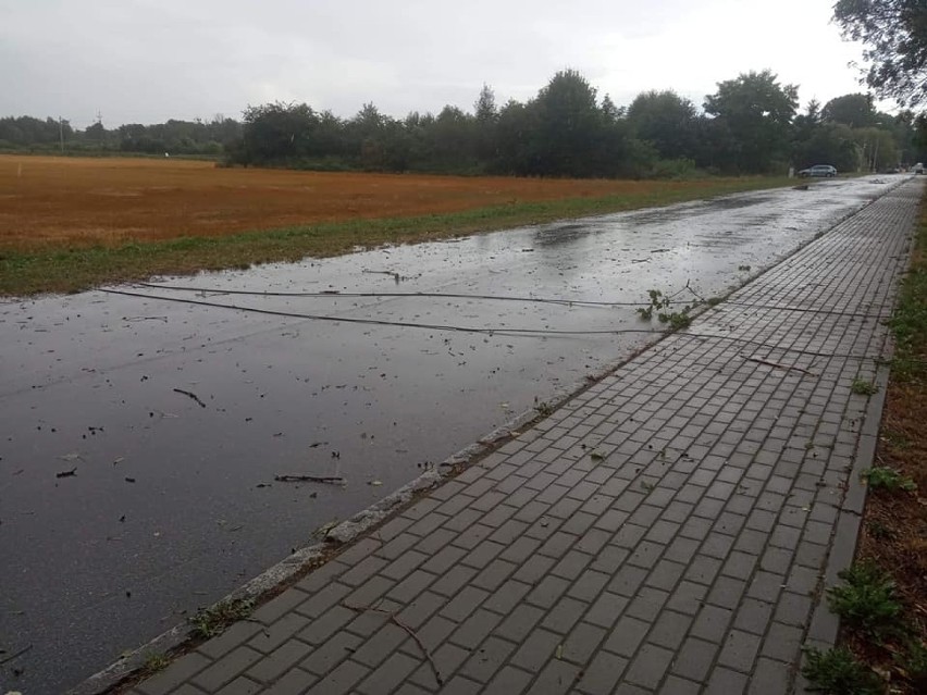 Powiat malborski. Tygodniowy raport straży pożarnej. Wypadek, pożar poddasza, działania na wysokości