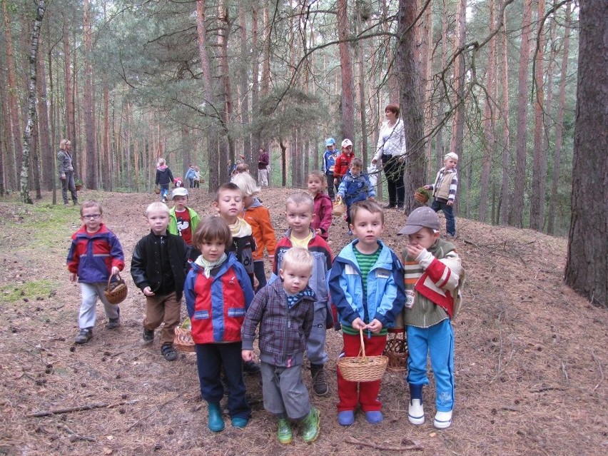 Dzieci z Przedszkola nr 5 &quot;Mali Przyrodnicy&quot; wybrały się na wycieczkę do lasu