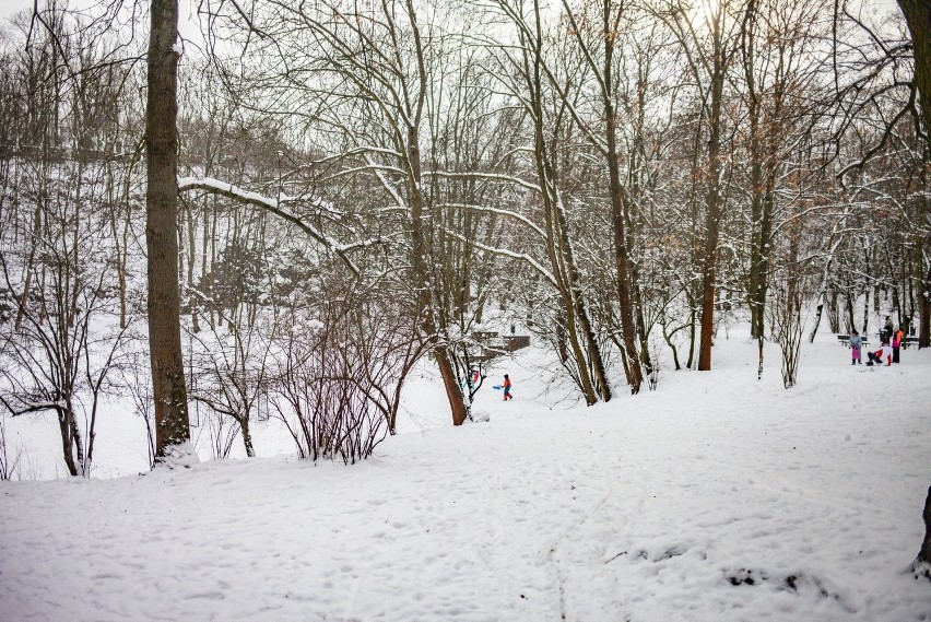 Park Bednarskiego w pięknej, zimowej scenerii
