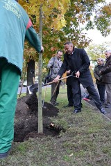 Rafał Bruski sadzi drzewa. Dąb Leona Wyczółkowskiego posadzony