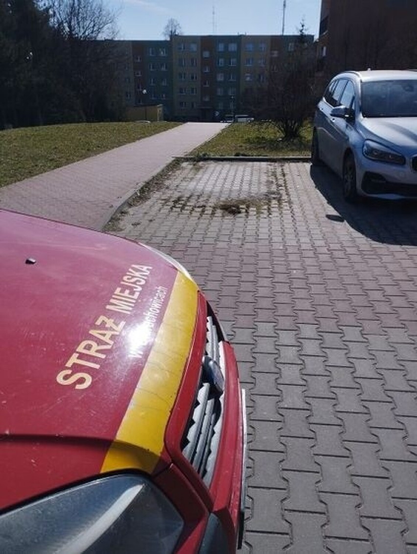 Wraki znikają z ulic Starachowic. Usunięto już 80 pojazdów. Takie auta odholowała Straż Miejska. Zobacz zdjęcia