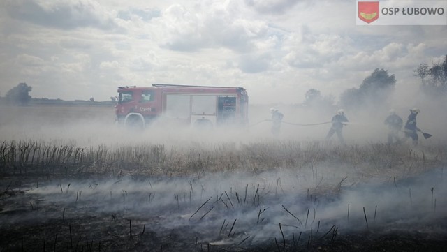 Pożar ścierniska w Woźnikach spowodował zadymienie na S-5!