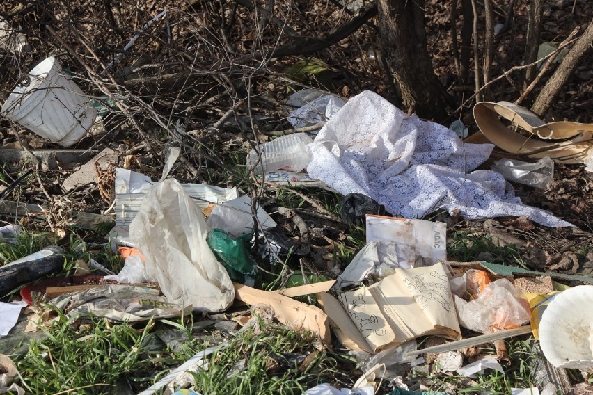 Dzikie wysypisko śmieci w Legnicy, zobaczcie zdjęcia