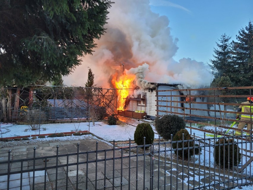 Pożar na działkach ROD przy Spokojnej we Włocławku. Zdjęcia