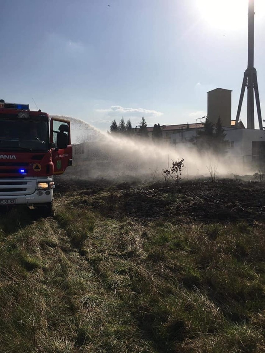 Pożary suchych trwa w powiecie bełchatowskim